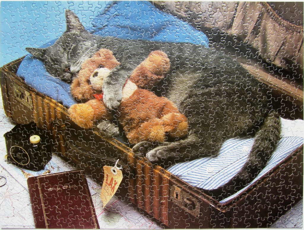 A grey cat asleep in an open vintage suitcase while cuddling a plush teddy bear.