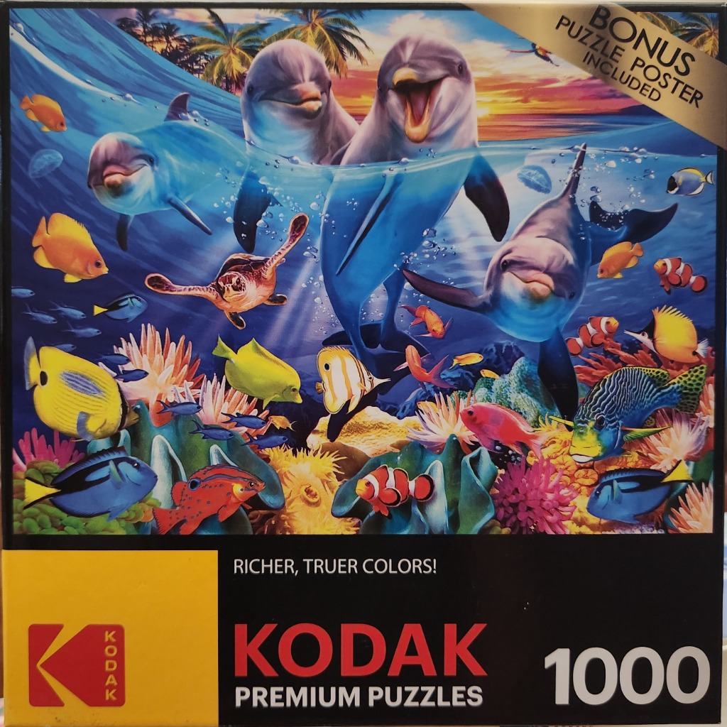 Artistic illustration of dolphins swimming in a tropical coral reef at sunset