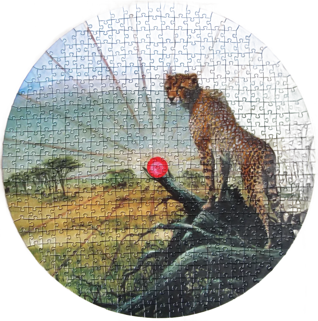 Gepard Auf Der Jagd