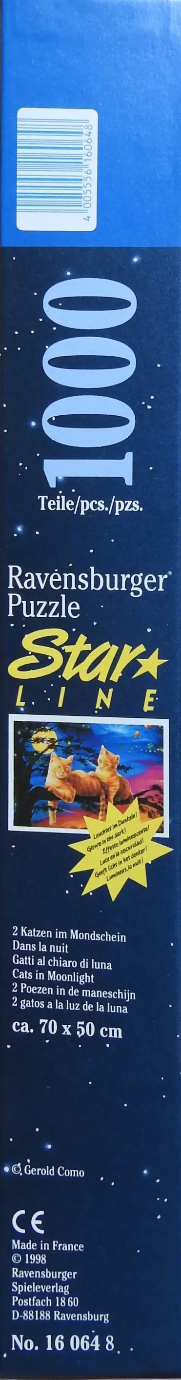 Katzen im Mondschein