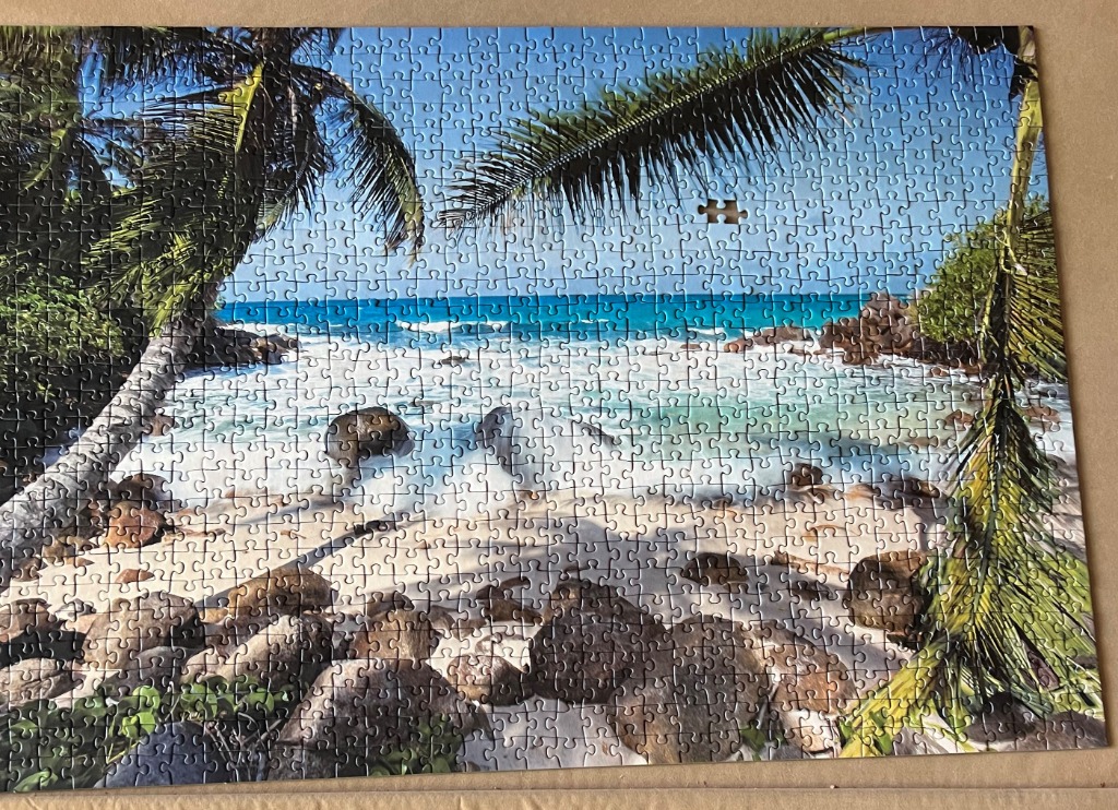 Tropical beach scene framed by palm fronds with white sand, turquoise water, and large dark rocks.