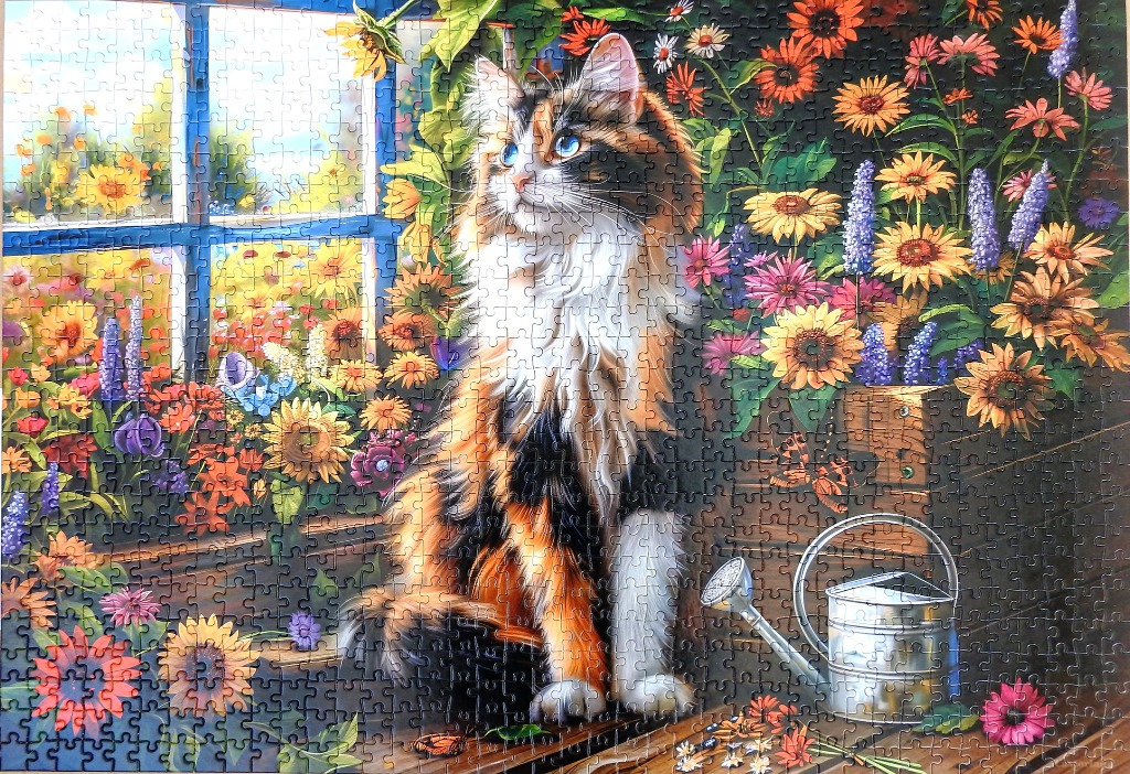 A long-haired calico cat sitting by a sunny window surrounded by colorful flowers and a watering can.