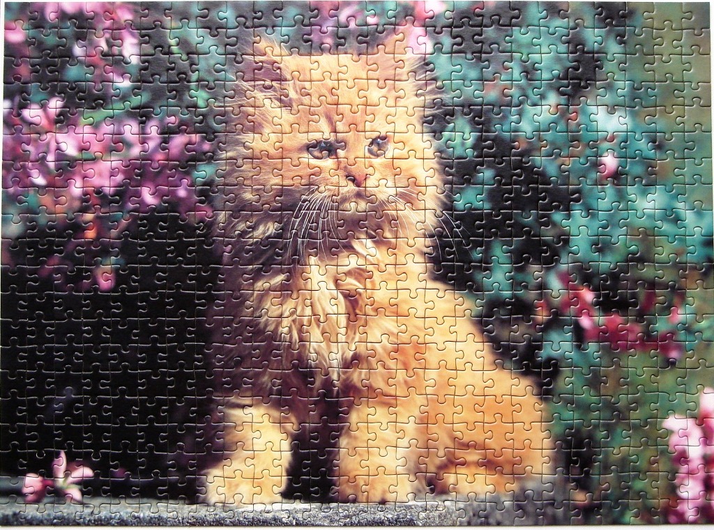 A fluffy ginger cat sitting against a backdrop of pink flowers and dark foliage.