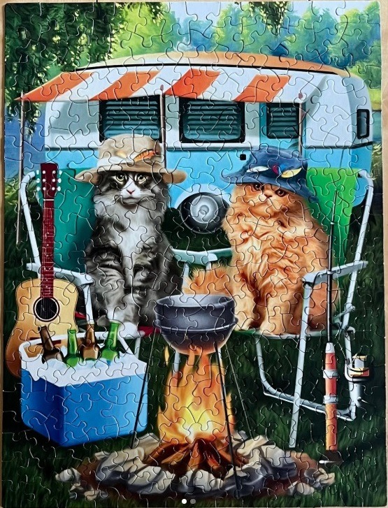 Two fluffy cats wearing hats sitting in camping chairs in front of a blue camper van and a campfire.