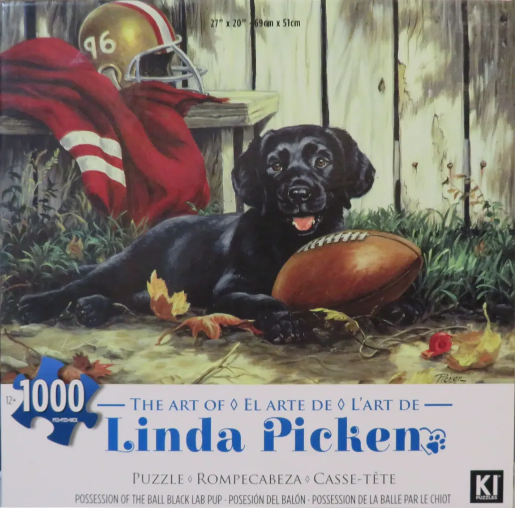 A black Labrador puppy resting with an American football by a weathered fence and a football helmet.