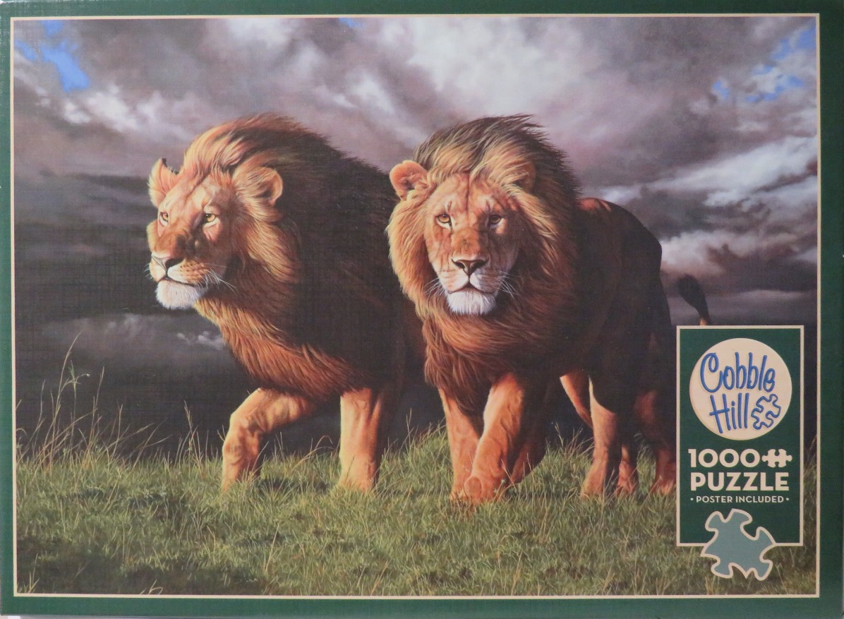Two lions walking through tall grass under a stormy, dark sky.