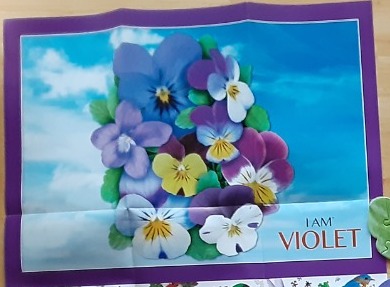 A cluster of vibrant pansies set against a bright blue sky with a purple border.