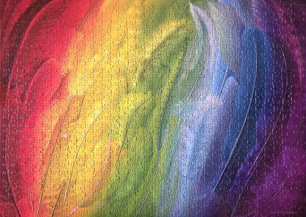 Abstract image of overlapping rainbow-colored feathers in a sweeping arc pattern.