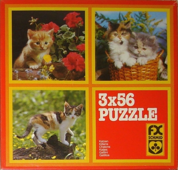 Collage of three photographs of kittens in outdoor settings.