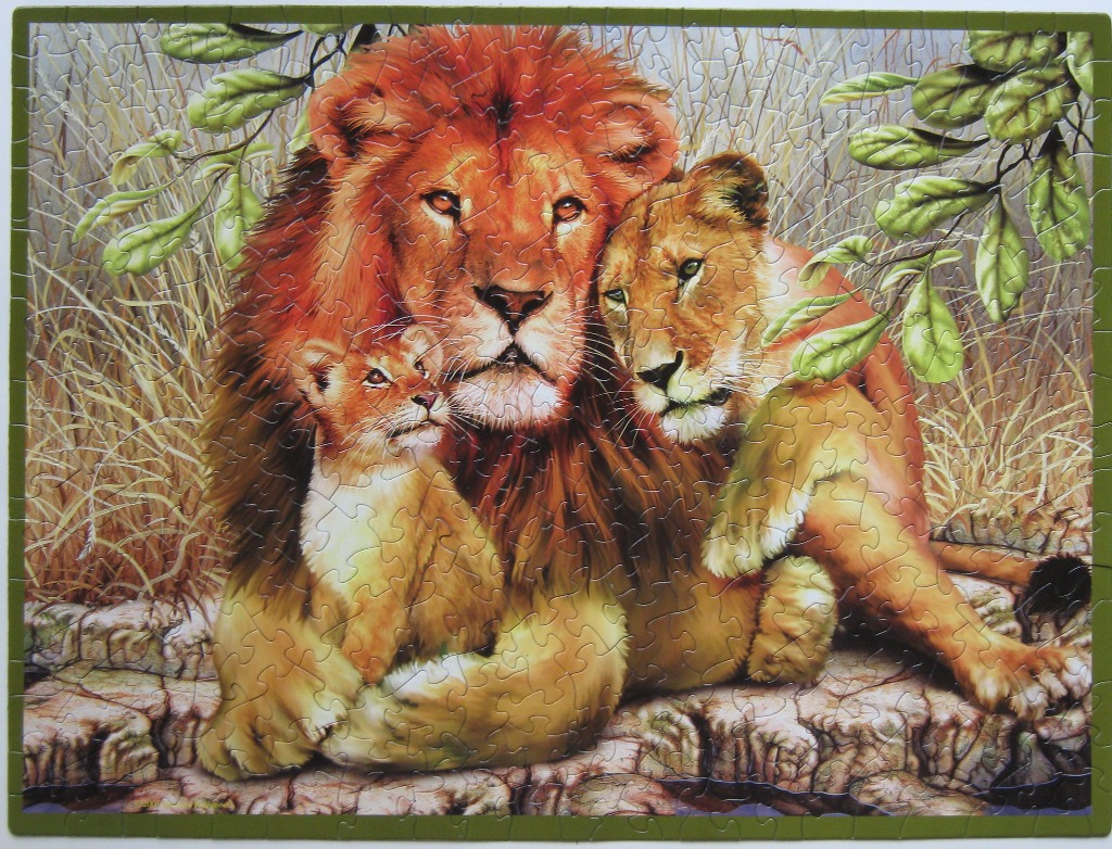 A lion, lioness, and cub resting together in a grassy, sun-drenched savanna setting.
