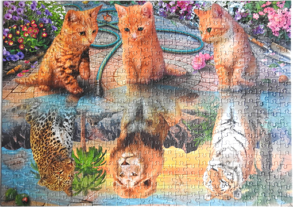 Three ginger kittens sitting on a stone patio, reflecting in water as a leopard, a lion, and a tiger.