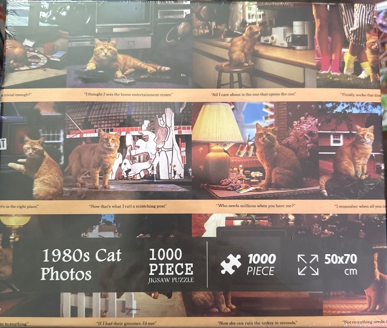 1980s Cat Photos