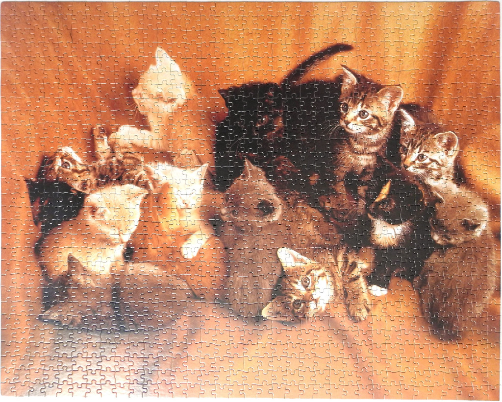 A gathering of many kittens of various colours huddled together against a warm, orange-brown background.