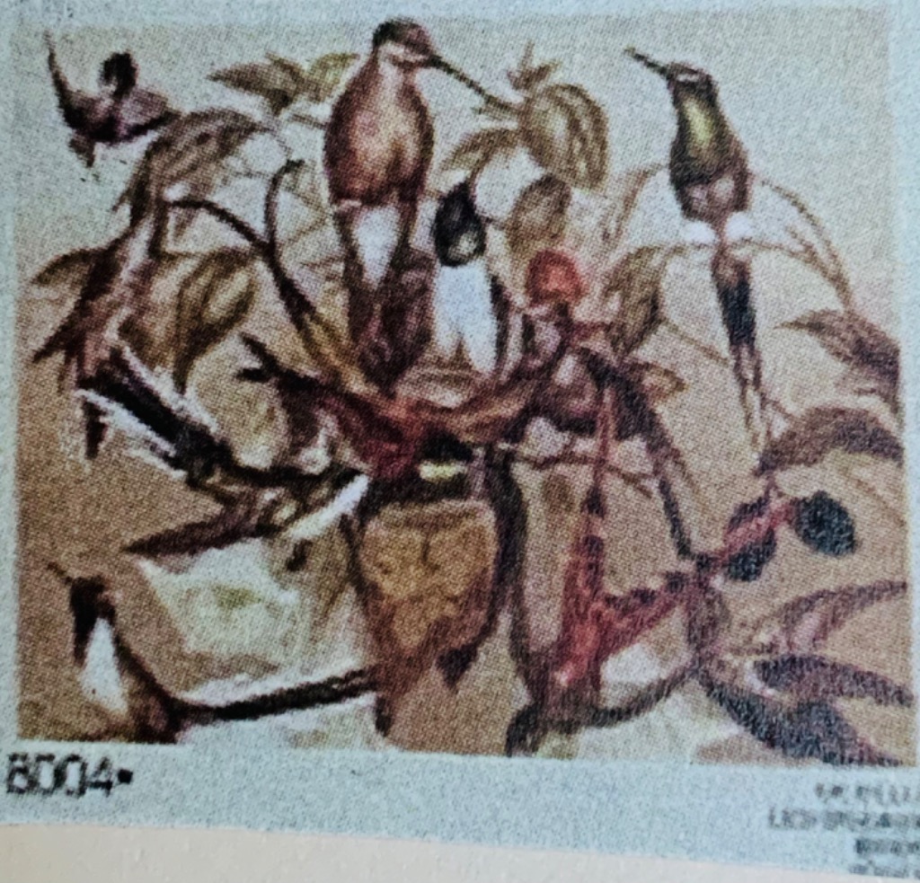 A vintage illustration of several hummingbirds perched on a leafy, dark branch against a neutral background.