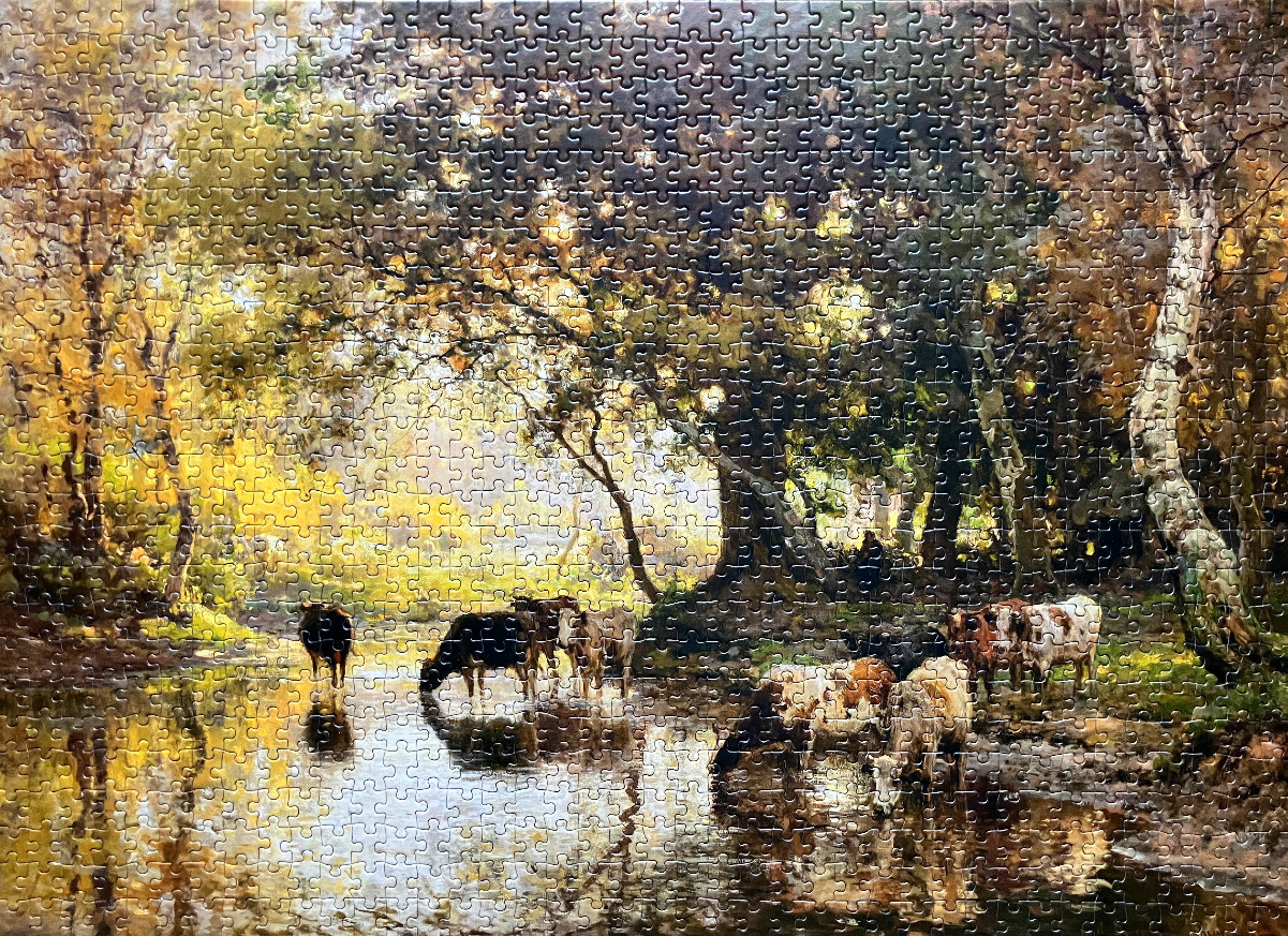 Oil painting of a herd of cattle drinking from a sun-dappled woodland stream in autumn.