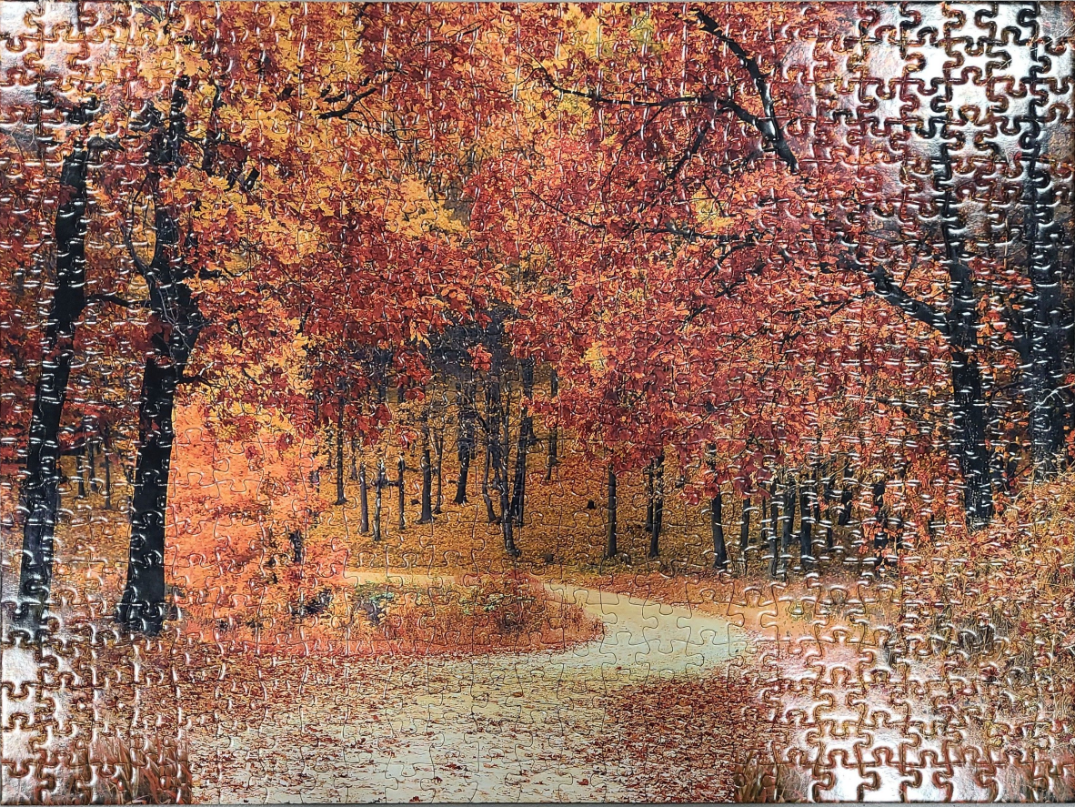 A winding path through a forest in peak autumn with vibrant red and orange foliage.