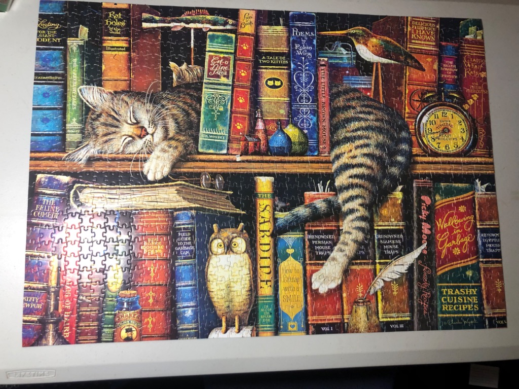 A cozy illustration of a tabby cat sleeping on a library bookshelf filled with whimsical, mouse-themed book titles.