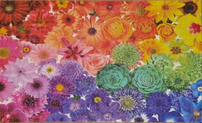 A dense, rainbow-gradient collage of various flower blooms and succulents.