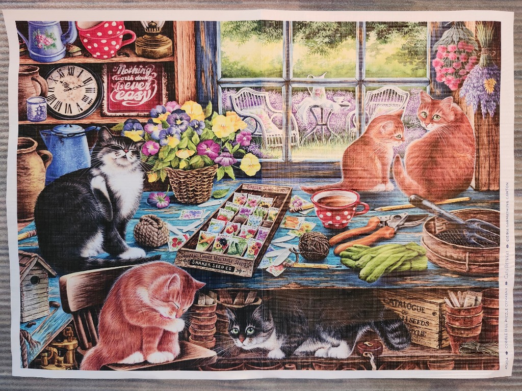 Several cats relaxing in a cluttered, sunlit garden shed filled with potting supplies and flowers.