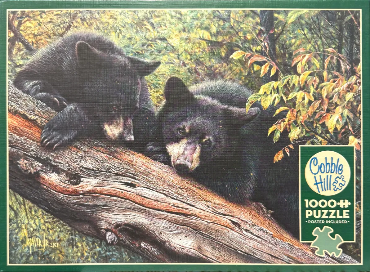 Two black bear cubs resting on a large fallen tree trunk in a sunlit autumn forest