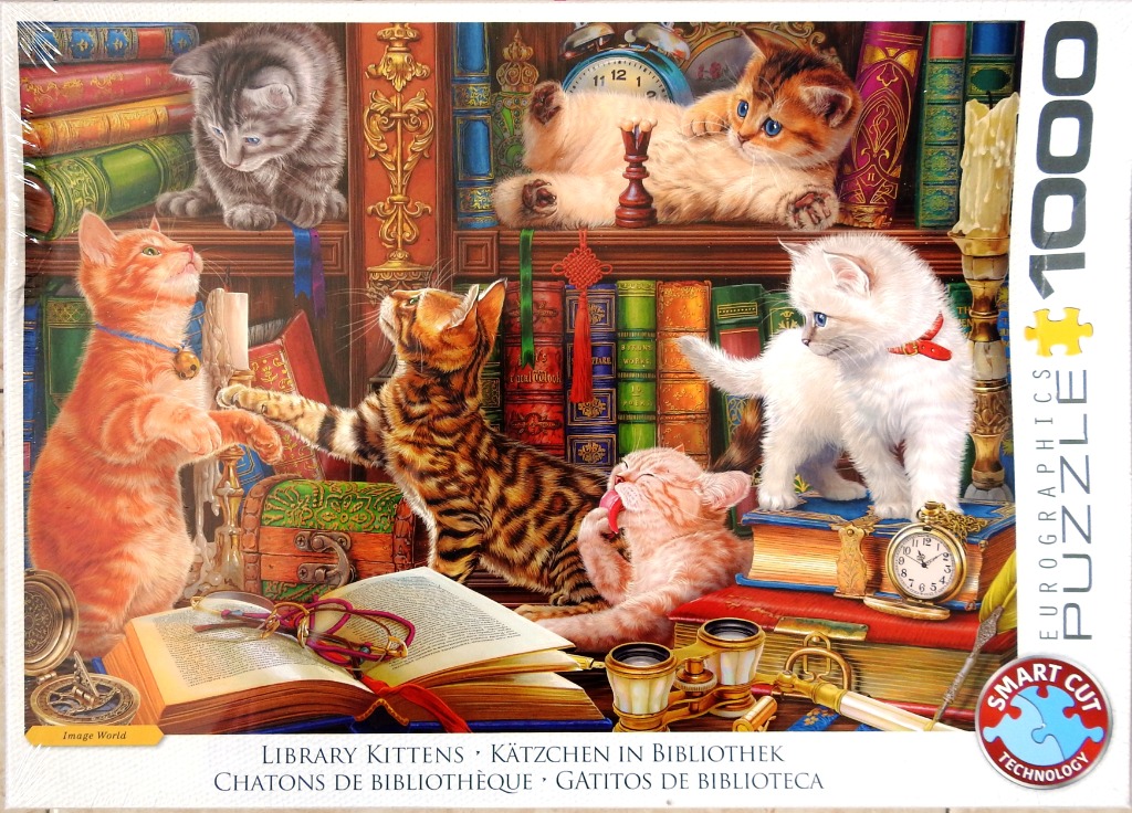 Five kittens playing in a cozy library with old books, vintage clocks, and antique decor.
