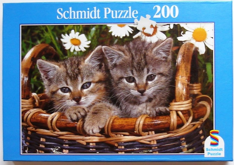Two tabby kittens sitting in a dark brown wicker basket surrounded by white daisies.