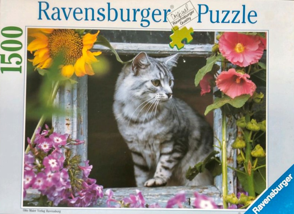 A silver tabby cat sitting in a weathered wooden window frame surrounded by sunflowers and pink flowers.