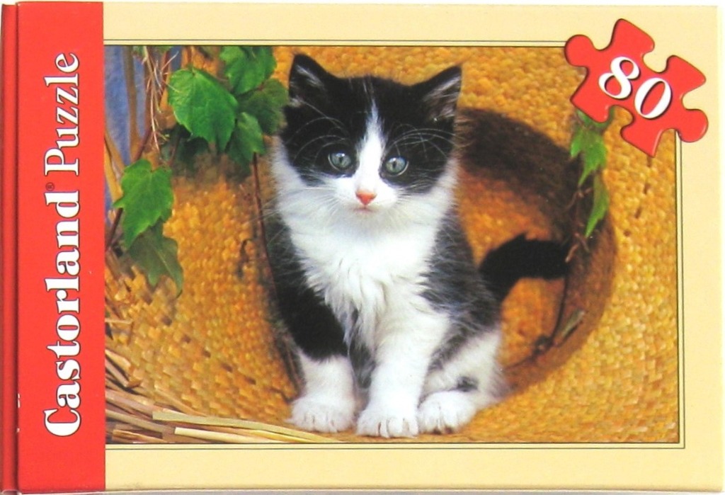 A black and white kitten sitting inside a woven basket surrounded by green leaves.