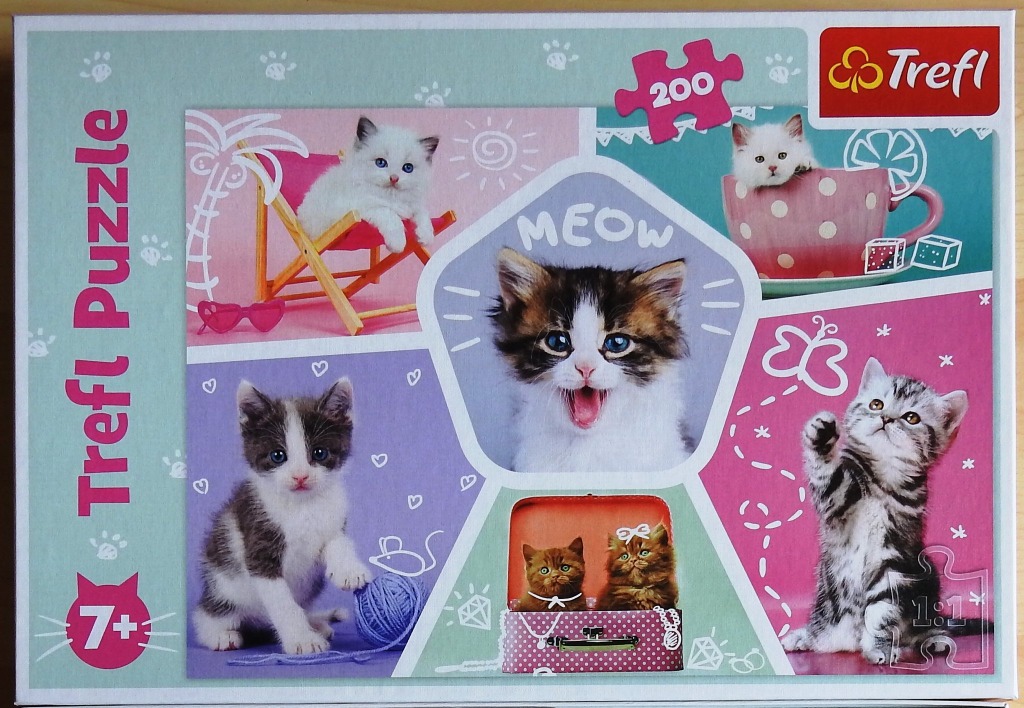 Collage of five adorable kittens in a whimsical, colorful setting with hand-drawn white doodle accents.