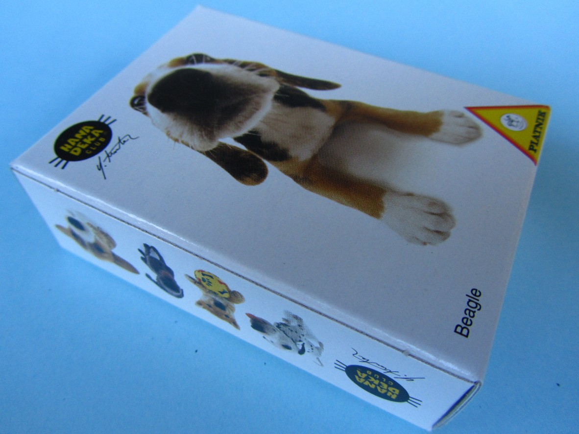 Beagle