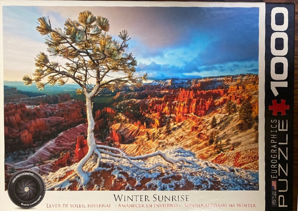 A snow-dusted pine tree stands on a canyon rim overlooking a sunlit Bryce Canyon landscape at sunrise.