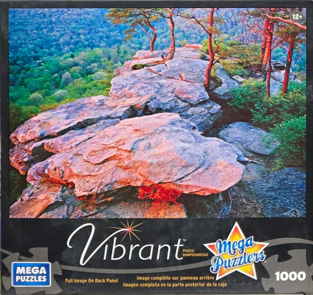 Scenic photograph of weathered rock formations and pine trees overlooking a dense, lush green forest canopy.