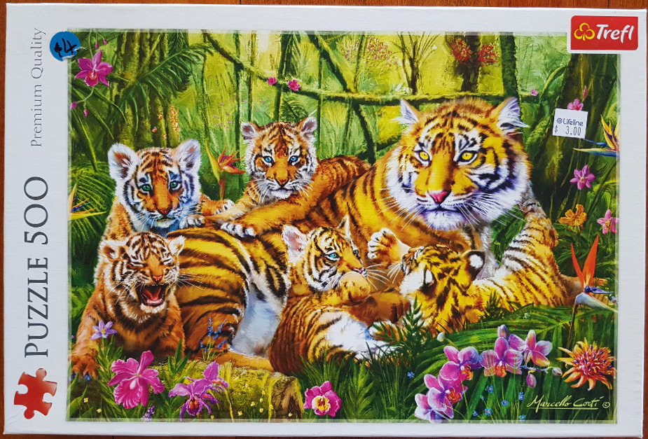 An illustration of a mother tiger and her four cubs resting in a lush, vibrant rainforest filled with tropical flowers.