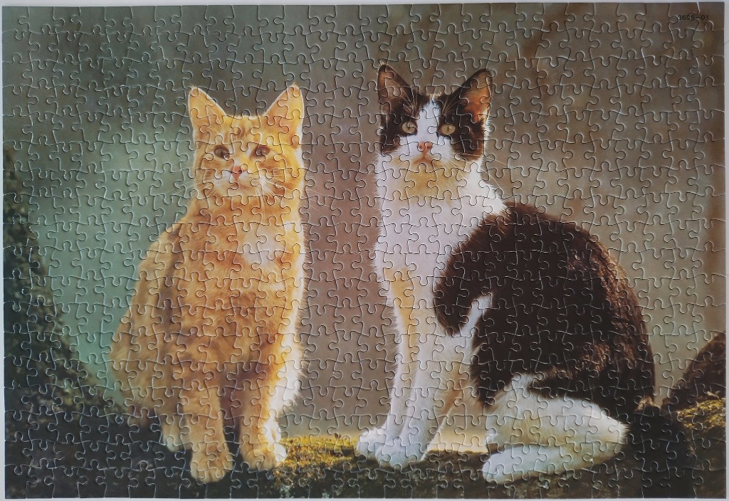 A portrait of an orange tabby cat and a black-and-white cat sitting together on a mossy surface.