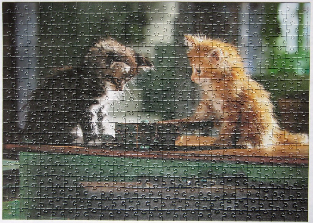Two small kittens, one black-and-white and one orange, sitting on a dark green wooden ledge.