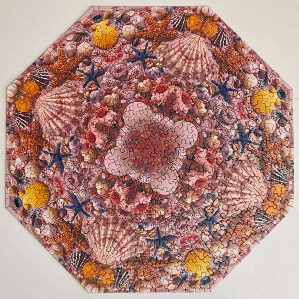 Octagonal collage of various seashells and starfish in shades of pink, orange, and blue.