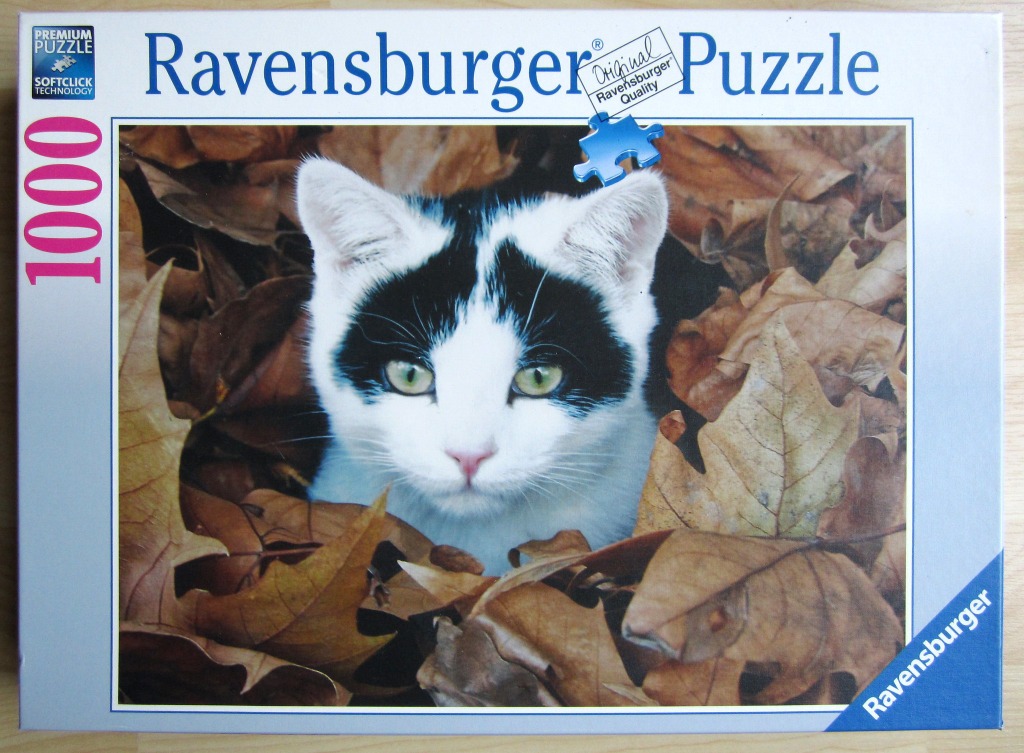 A black and white cat peeking through brown autumn leaves