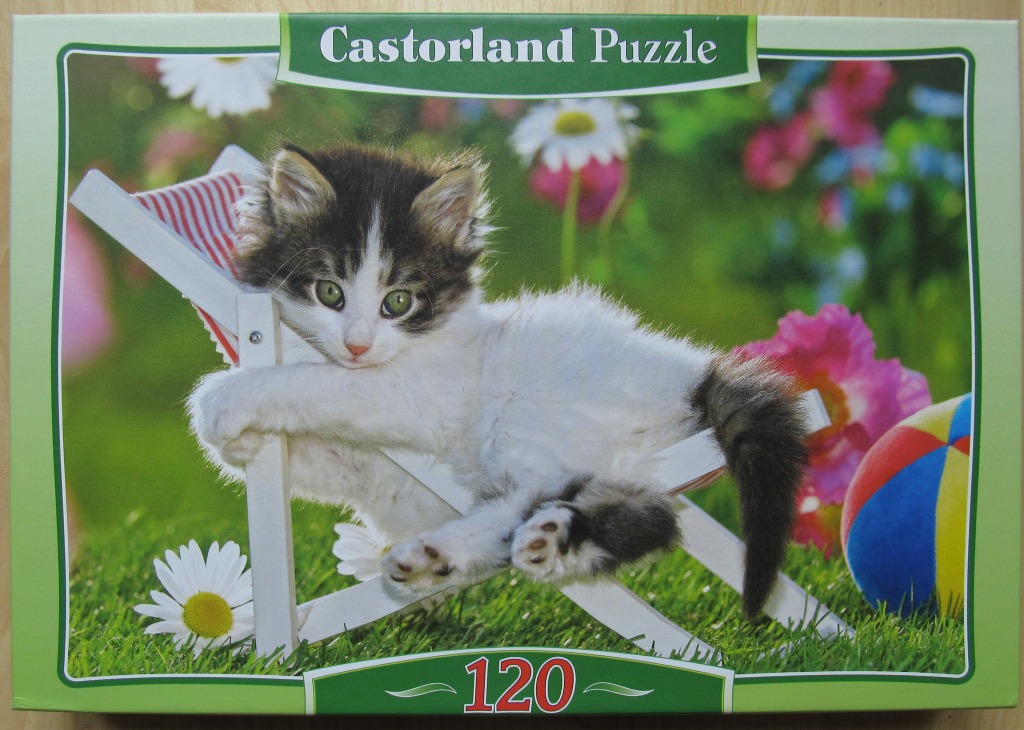 A fluffy black and white kitten lounging on a miniature wooden beach chair in a sunny garden.