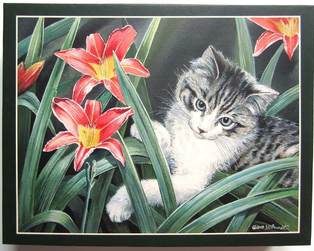 A fluffy tabby and white kitten peeking through a patch of vibrant red and yellow daylilies.