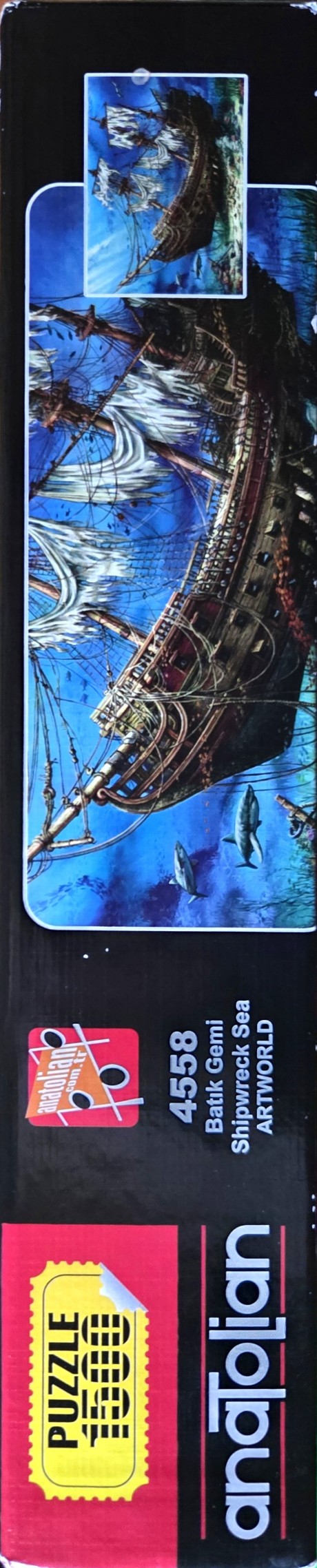 Shipwreck Sea