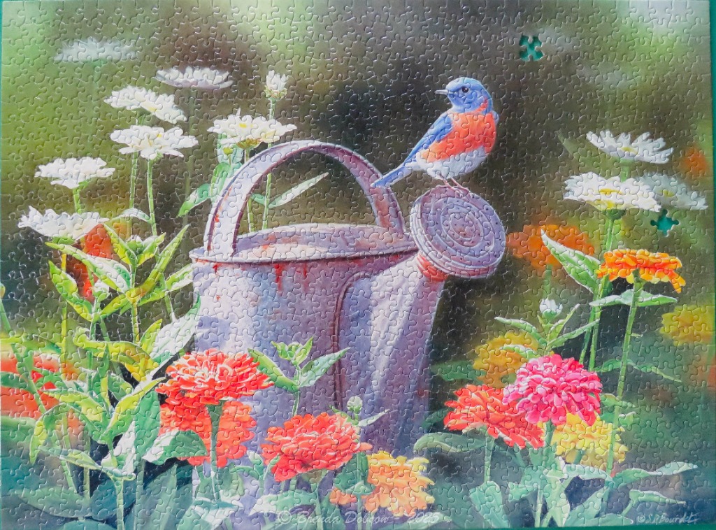 A bluebird perches on an old metal watering can surrounded by vibrant zinnias in a garden.