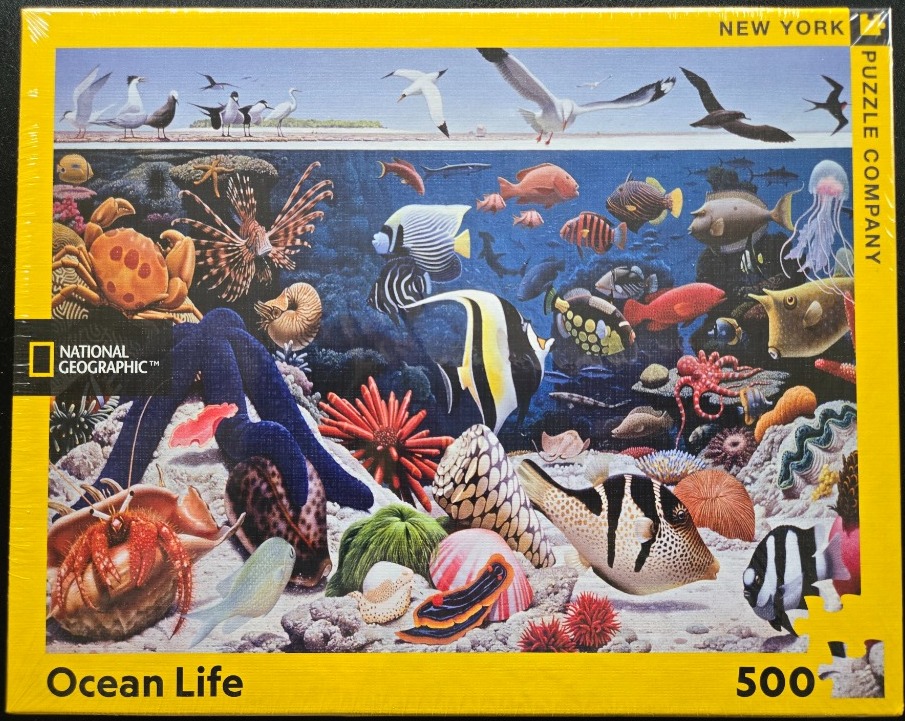 Underwater scene featuring a variety of coral reef fish, a crab, a jellyfish, and coastal birds above.