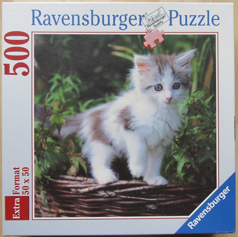 A fluffy white and grey kitten standing in a woven basket surrounded by greenery.