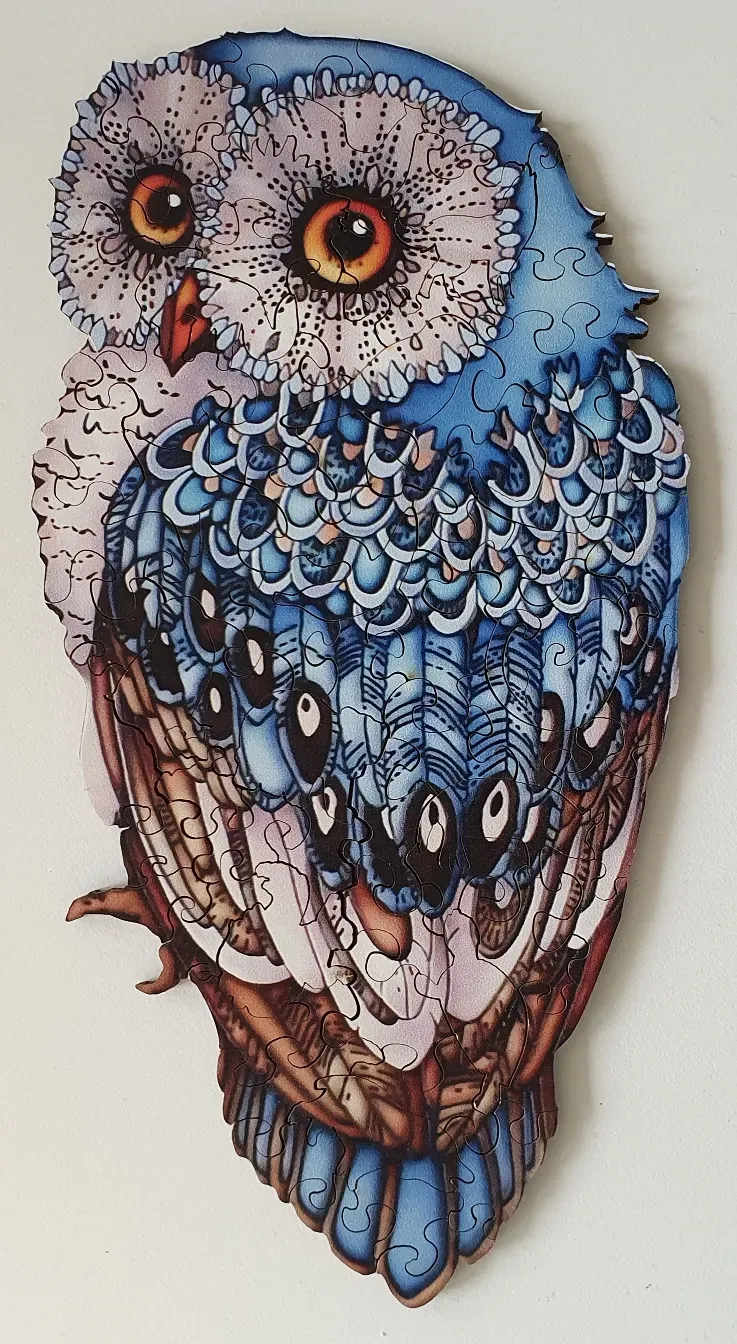 Stylized illustration of a blue and white owl with large, bright orange eyes against a white background.