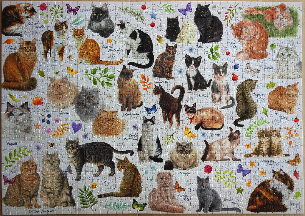 An illustrated collection of many different cat breeds arranged on a light background with botanical accents.