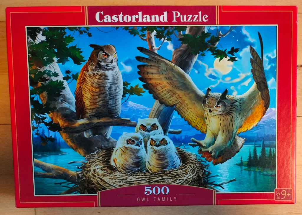 A family of owls, with two adults and two chicks in a nest, set against a moonlit mountain lake scene.