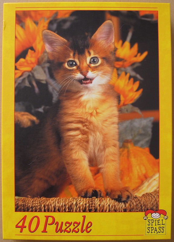 A fluffy ginger Somali kitten sits in a wicker basket surrounded by autumn sunflowers and pumpkins.