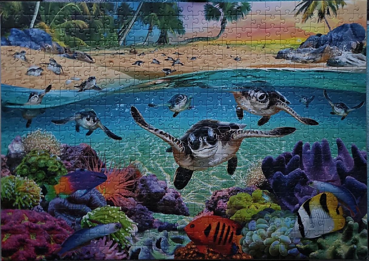 Sea turtles swimming in a vibrant tropical reef with a sandy beach in the background.