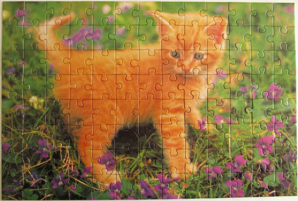 An orange tabby kitten standing in a grassy field filled with purple wildflowers.