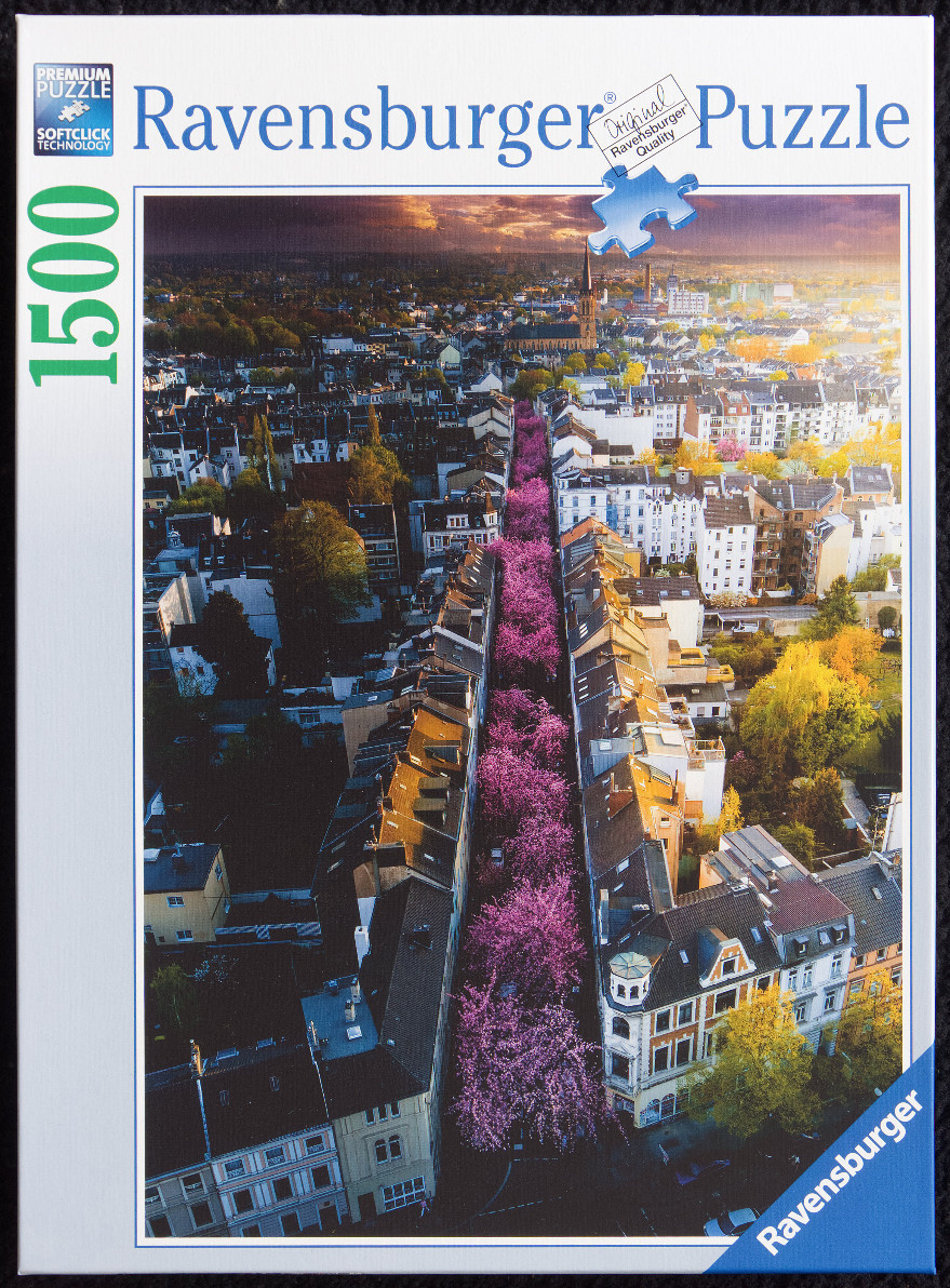 Aerial view of a city street lined with vibrant pink cherry blossom trees at sunset